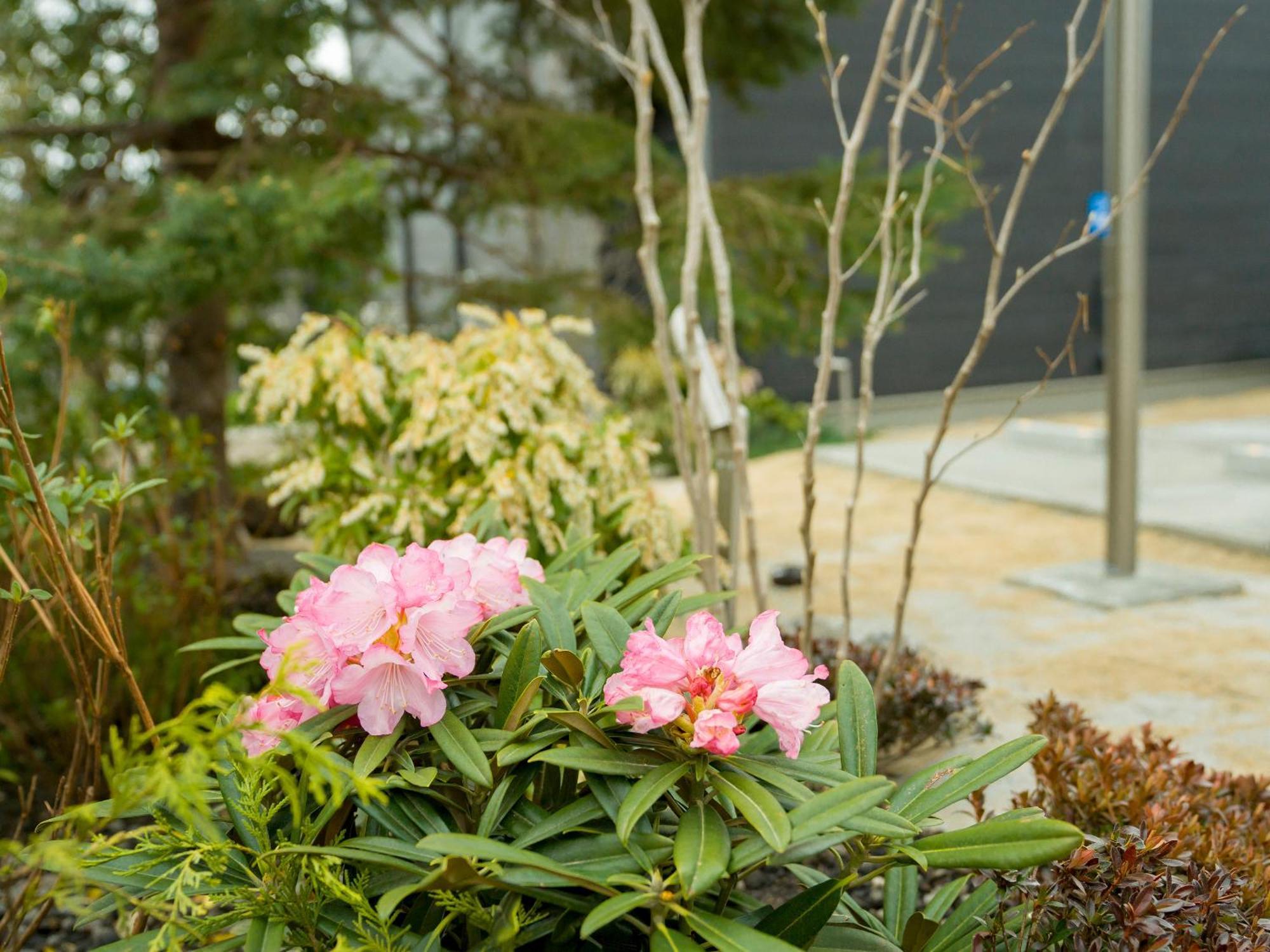 Rakuten Stay Villa Yatsugatake Hokuto  Exterior foto